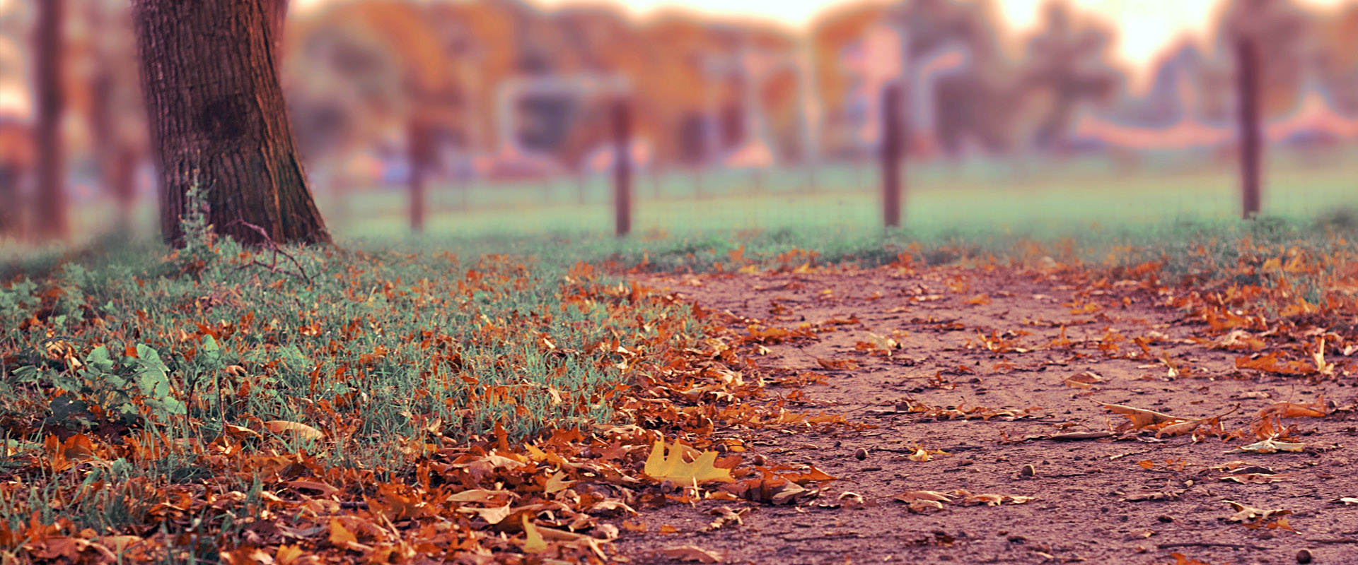 ddos网页在线攻击