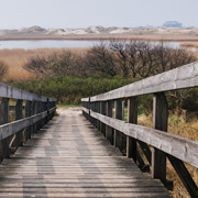 网页DDOS攻击平台