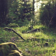 DDOS压力测试网页端