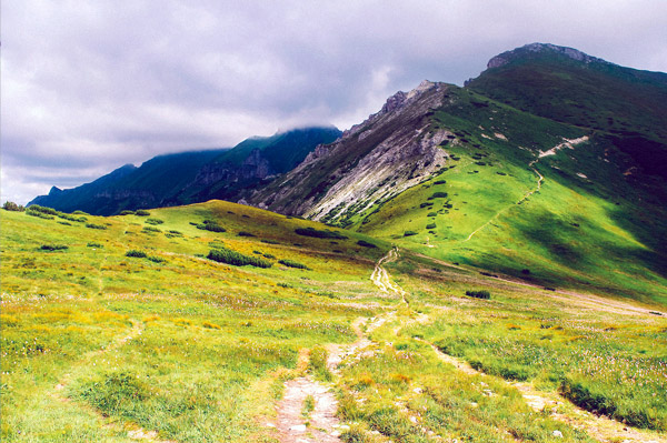 ddos网页在线攻击